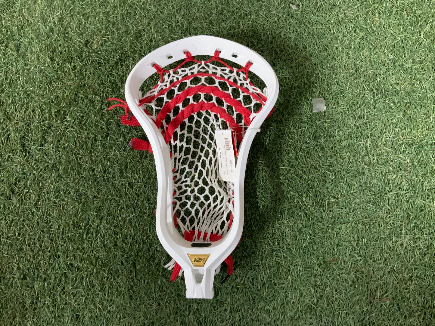 Lax Dynamic Strung Men’s Lacrosse Head