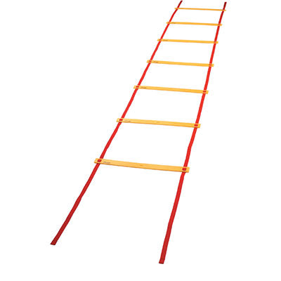 20" AGILITY LADDER